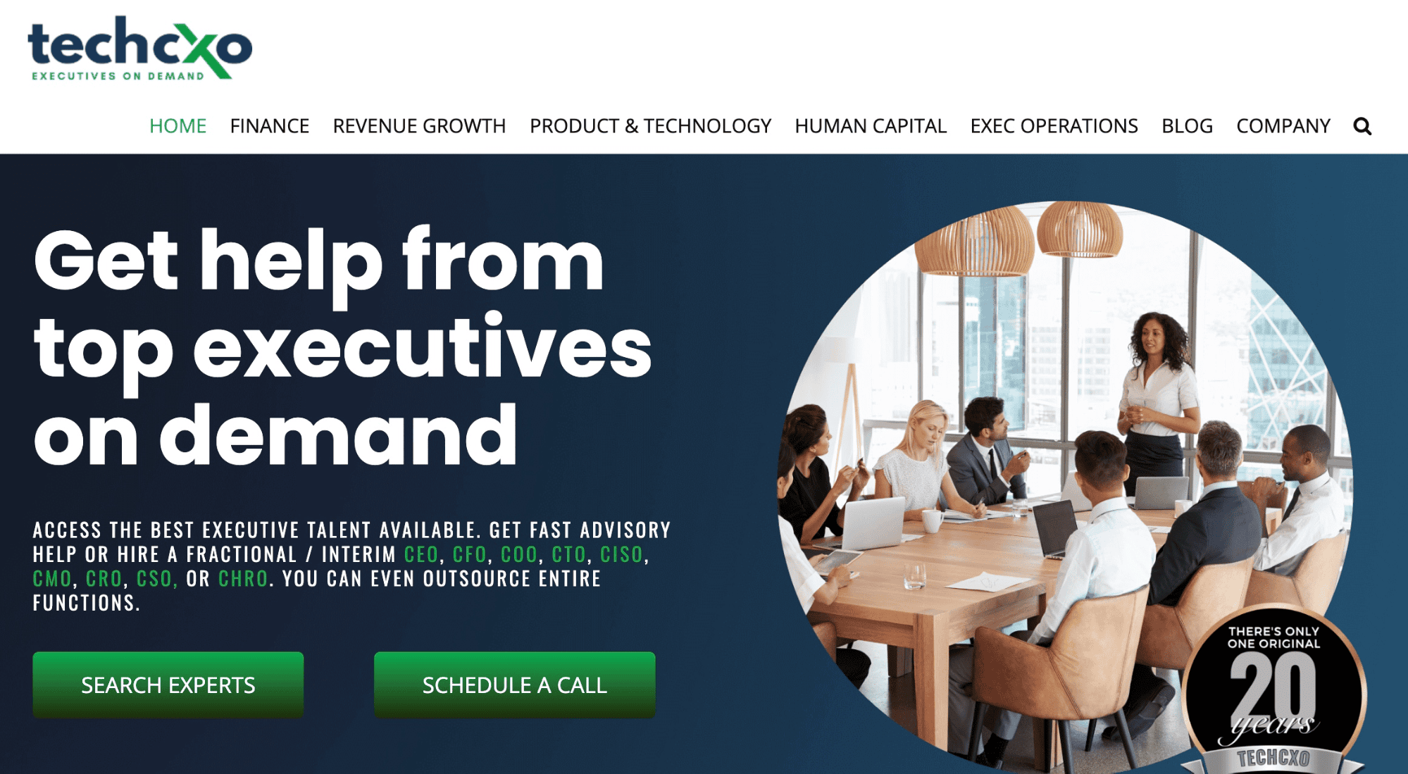 Picture of TechCXO homepage