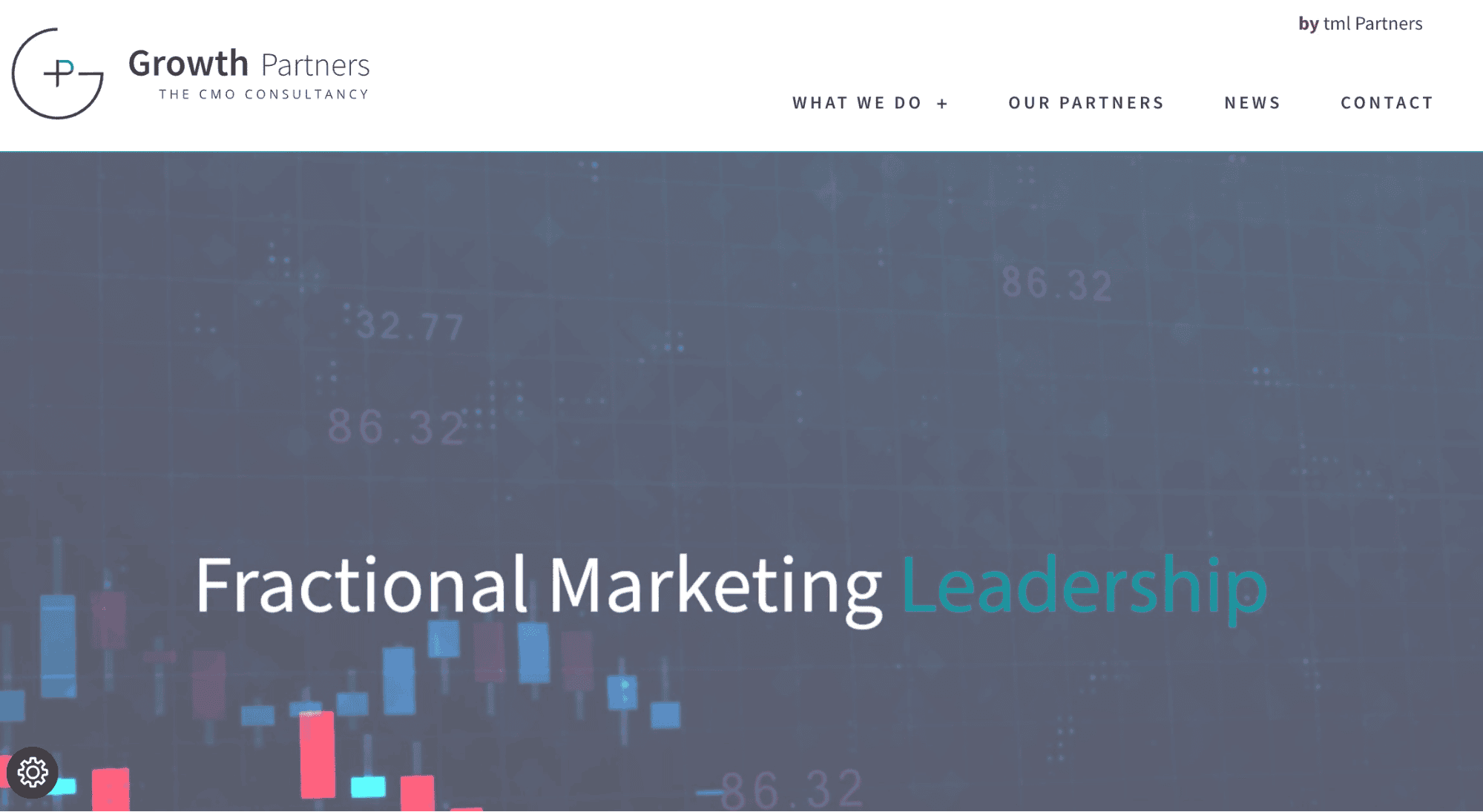 Picture of Growth Partners homepage